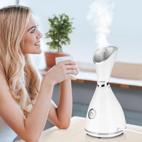Mini Facial Steamer